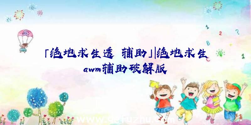 「绝地求生透視辅助」|绝地求生awm辅助破解版